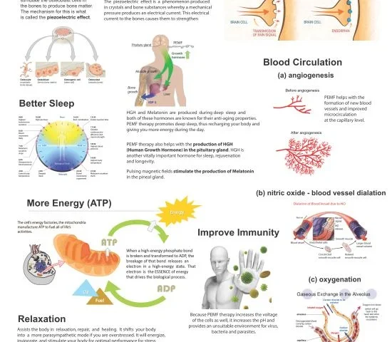 The Benefits of PEMF Therapy for Pain | PEMF Therapy