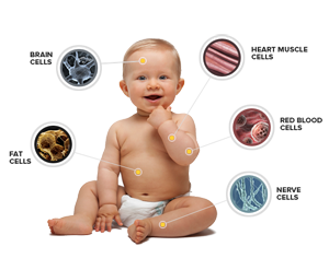 pulsed electromagnetic frequency therapy Baby