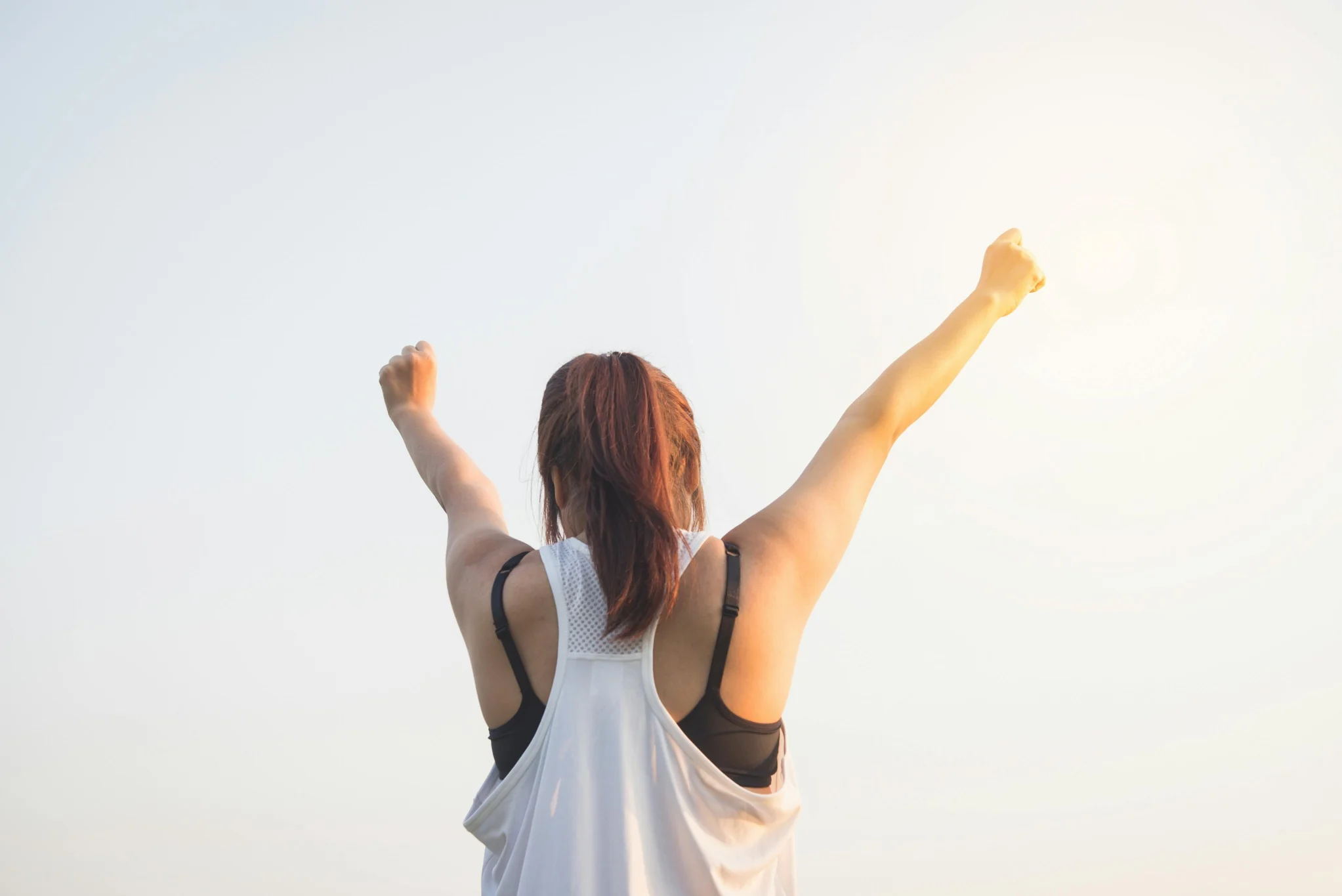 whole body wellness